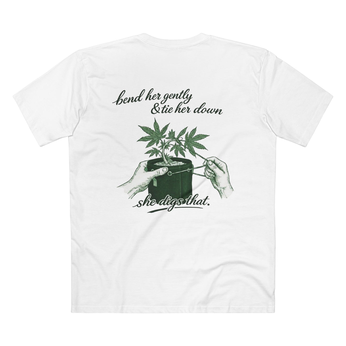 Quiet Cultivation v1